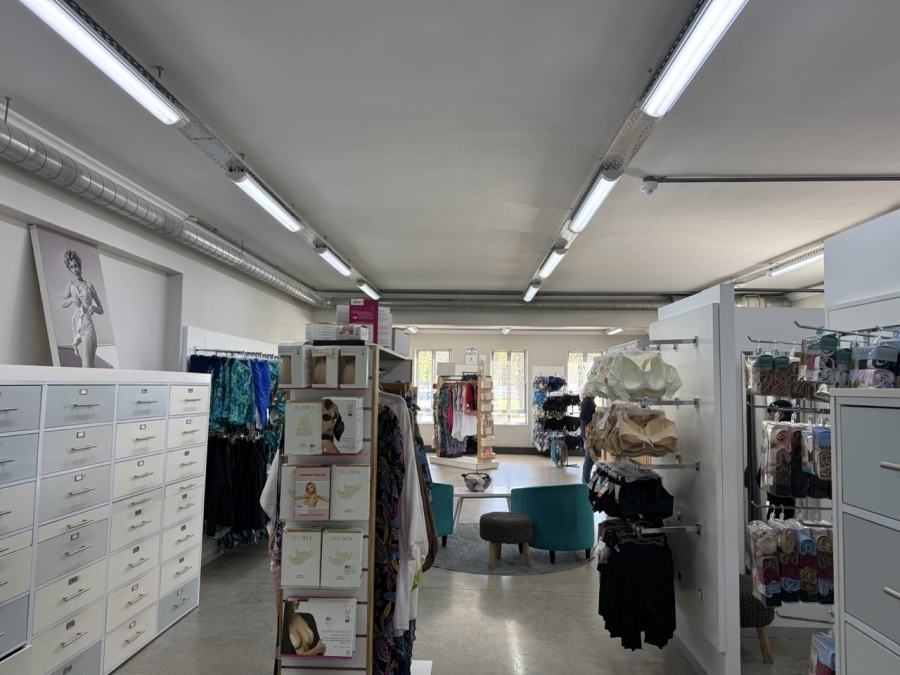 To Let Commercial Property for Rent in Paardevlei Western Cape